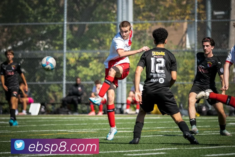 易倍体育平台生态图